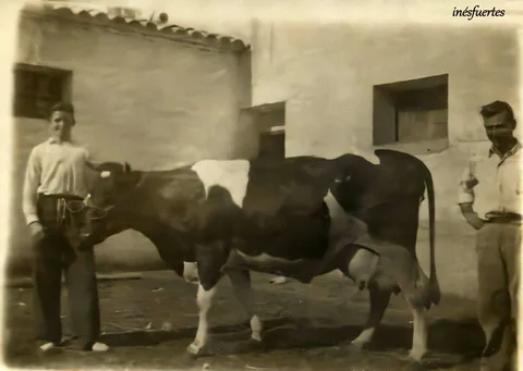 Fotografía pendiente de identificar