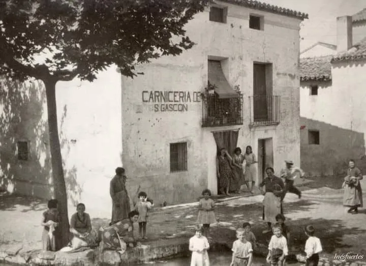 Fotografía por identificar