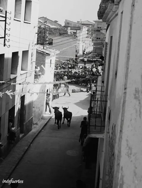 Fotografía pendiente de identificar