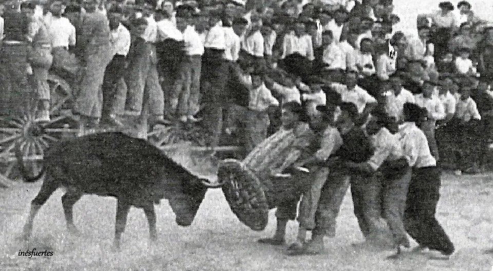Fotografía por identificar