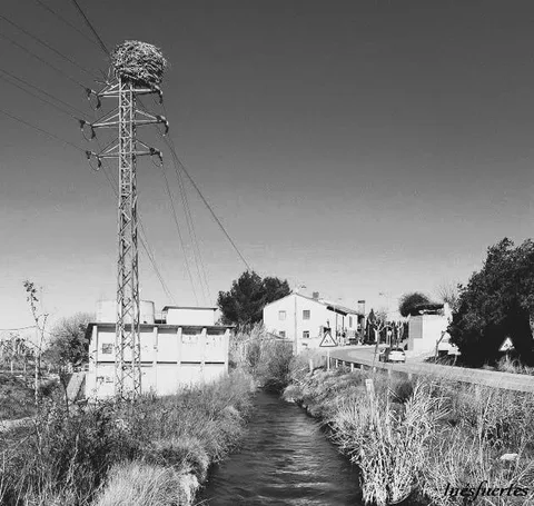 Fotografía pendiente de identificar