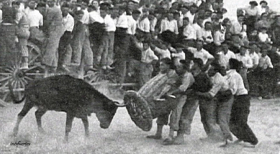 Fotografía por identificar