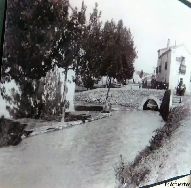 Fotografía por identificar